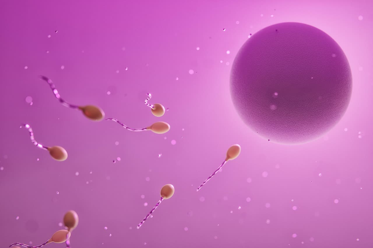 Life Science